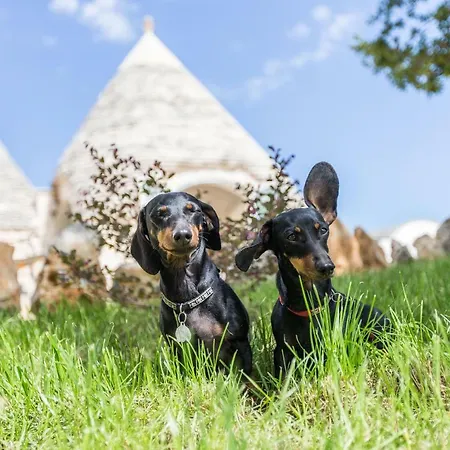 Trulli Masseria Donno Santo Villa